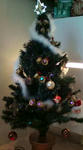 20091115141123.jpg