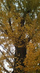 20091124113736.jpg