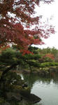20091124120551.jpg