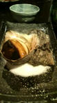 20100131210413.jpg