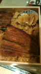 20100316210409.jpg