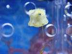 DSC01171.JPG