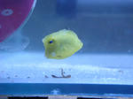 DSC01262.JPG