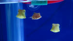 DSC01340.jpg