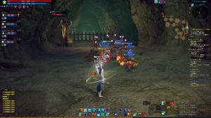 TERA_ScreenShot_20110820_153952.jpg