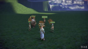 TERA_ScreenShot_20110820_172639.jpg