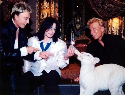 jackson_michael_feeding_tiger.jpg