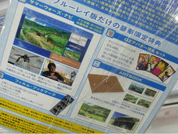 akiba20100302-2695.jpg
