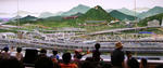021475cc.JPG