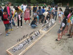 fd662c7e.JPG