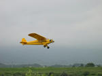 8b558620.JPG