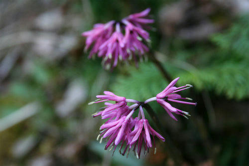 20090419_5.jpg