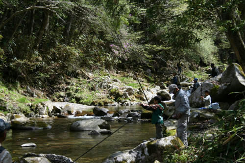 20090419_2.jpg