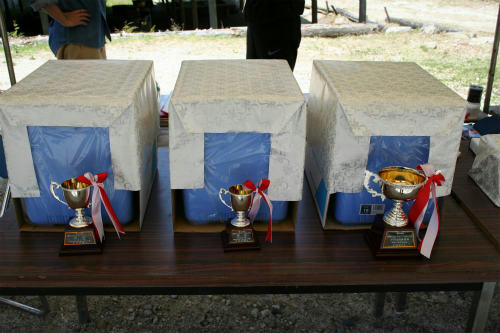 20090419_4.jpg