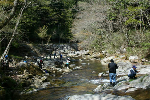 20090419_3.jpg