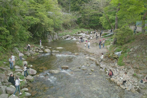 20090513_2.jpg