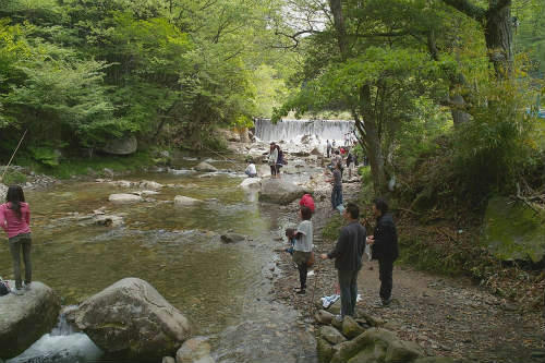 20090513_3.jpg