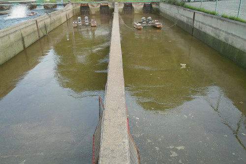 20090516_1.jpg
