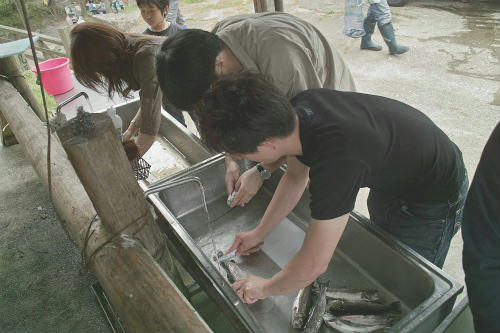 20090524_1.jpg