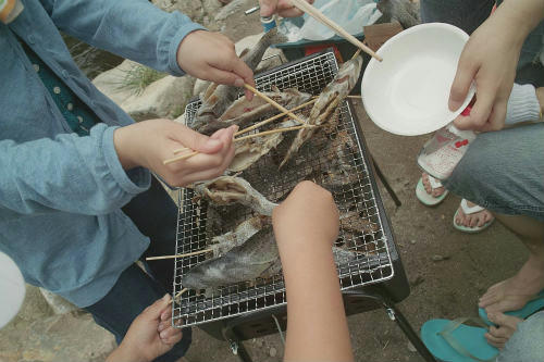 20090711_7.jpg