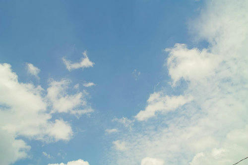 20090712_2.jpg