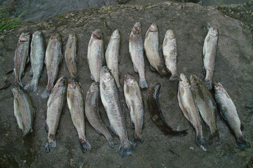 20090901_2.jpg