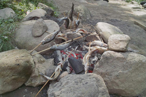 20090907_3.jpg