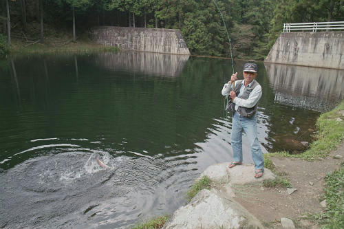 20090917_2.jpg