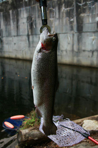 20091028_1.jpg
