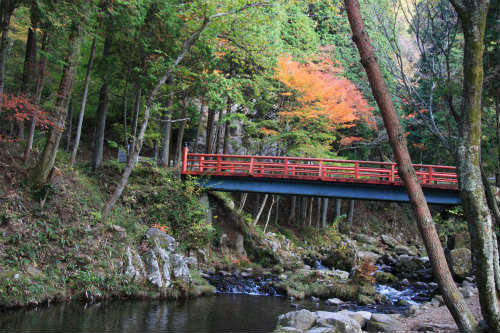20091030_2.jpg