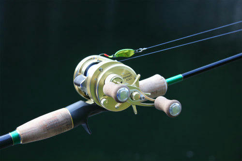 20091128_3.jpg