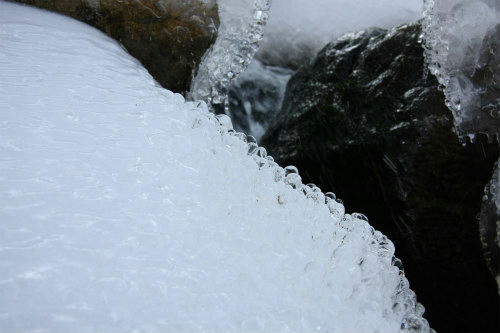 20100104_4.jpg