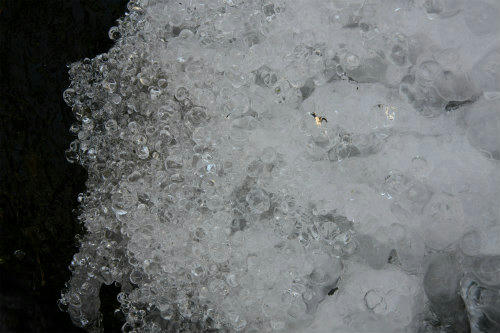 20100104_3.jpg