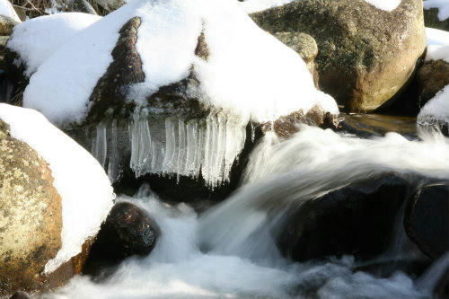 20100104_5.jpg