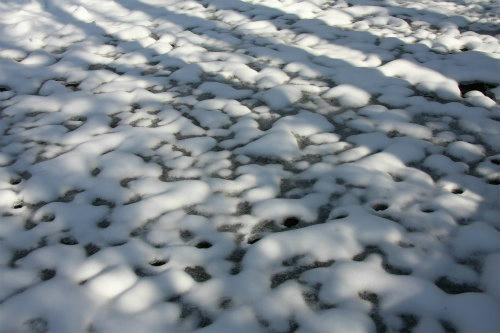 20100104_6.jpg