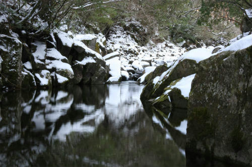 20100104_7.jpg