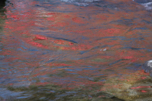 20100104_8.jpg