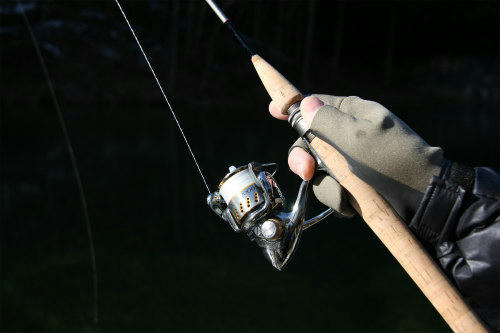 20100118_6.jpg