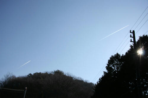 20100119_2.jpg