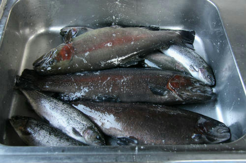 20100124_10.jpg