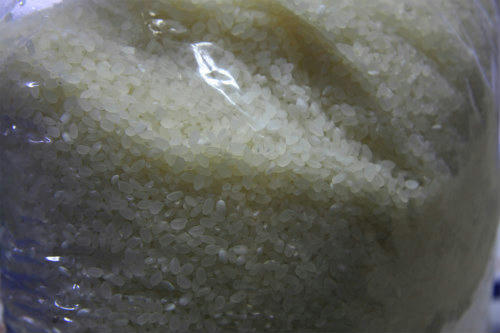 20120413.jpg
