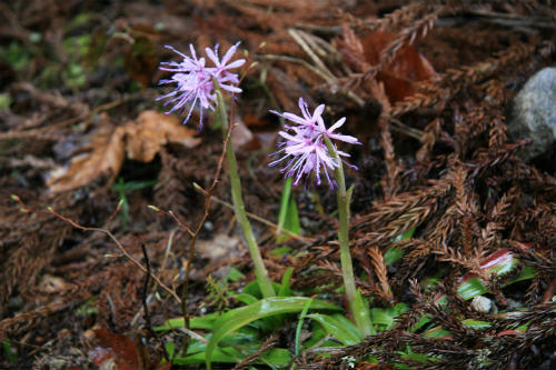 20120414_3.jpg