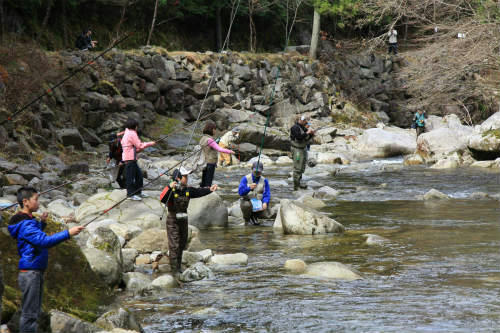 20120415_4.jpg