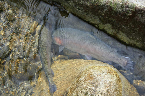 20120415_14.jpg