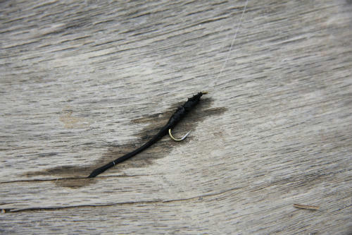 20100217_4.jpg