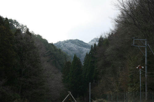 20100311_1.jpg