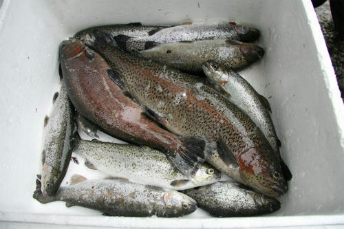 20100324_1.jpg