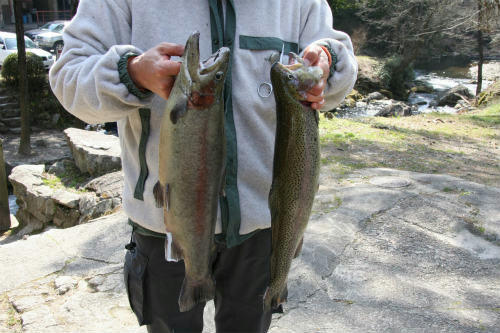 20100327_8.jpg
