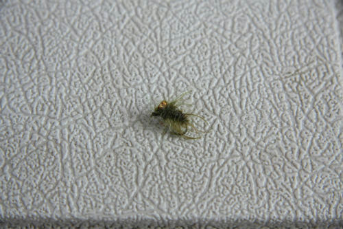20100327_9.jpg