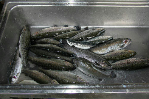 20100428_3.jpg